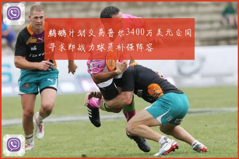 鹈鹕计划交易普尔3400万美元合同寻求即战力球员补强阵容