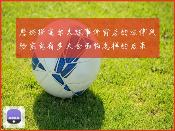 詹姆斯高尔夫球事件背后的法律风险究竟有多大会面临怎样的后果