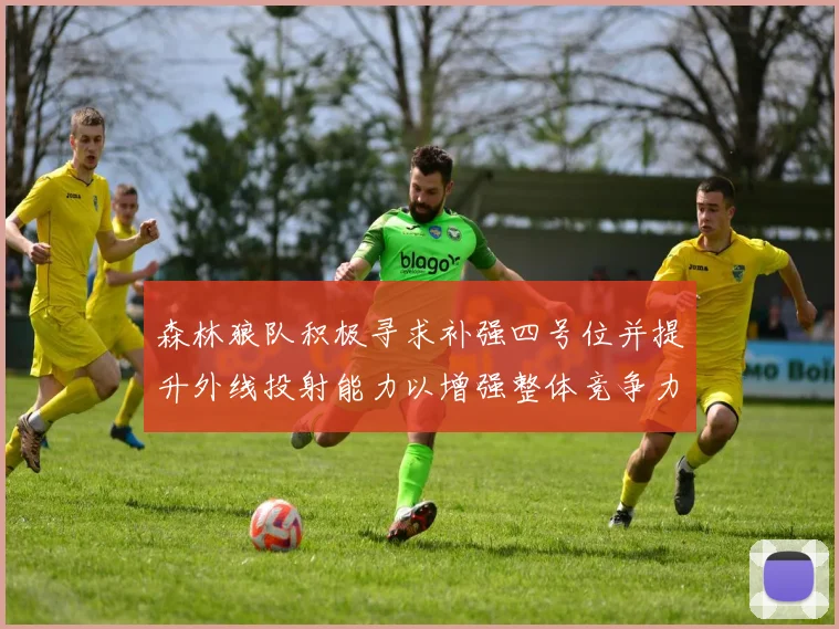 森林狼队积极寻求补强四号位并提升外线投射能力以增强整体竞争力