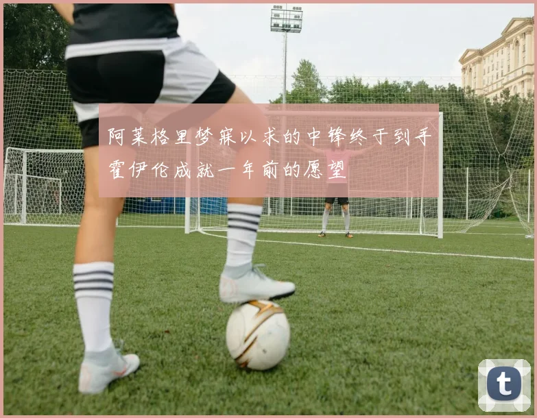 阿莱格里梦寐以求的中锋终于到手霍伊伦成就一年前的愿望